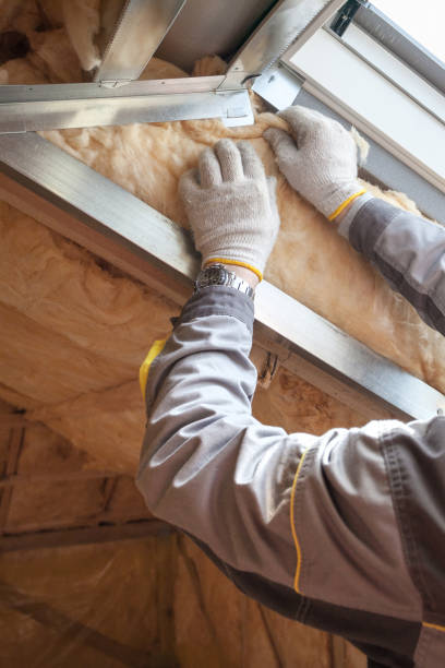 Best Commercial Insulation in Kaanapali, HI