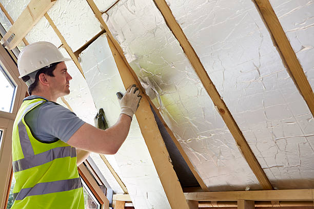 Best Types of Insulation in Kaanapali, HI